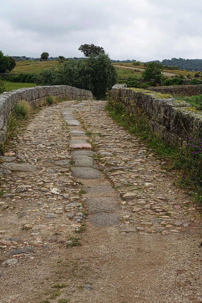 Stacks Image 344